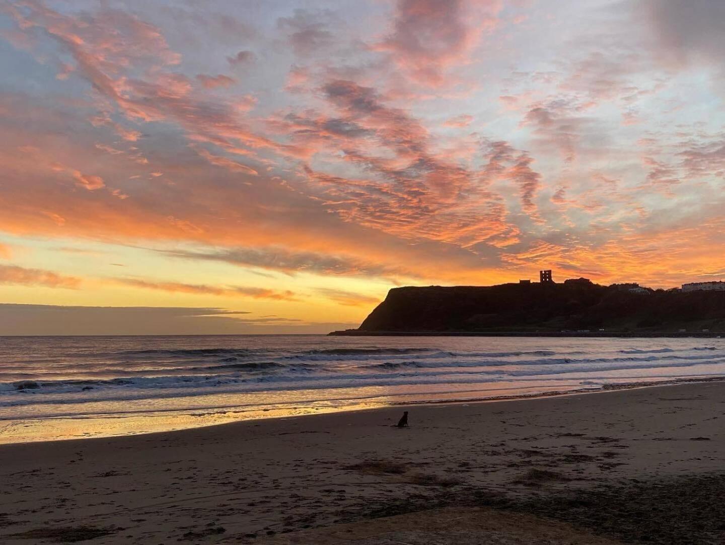 Seascape - Fantastic Location With Sea Views! Scarborough Esterno foto